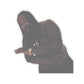 113-9341624-4605023_44-removebg-preview 22