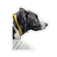 113-0143145-3525853_33_2-removebg-preview
