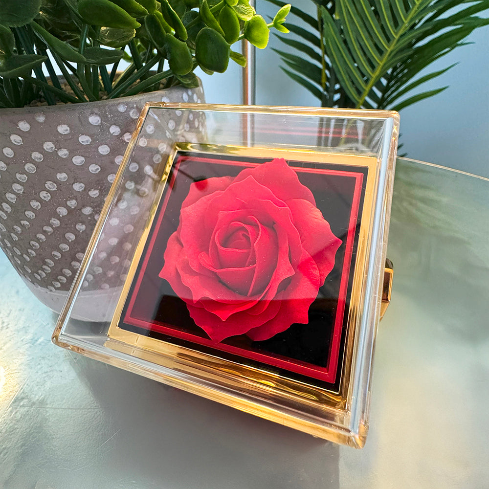 To My Wife – Forever Love Necklace, Gift for Wife from Husband, Romantic Anniversary Birthday Christmas Jewelry, Meaningful Love Message Card, Perfect Valentine's Day Gift