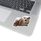 114-8819833-3210609_33-removebg-preview