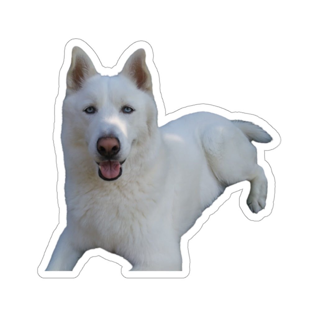 Copy of Copy of Copy of Copy of Kiss-Cut Stickers  114-4855535-9516209