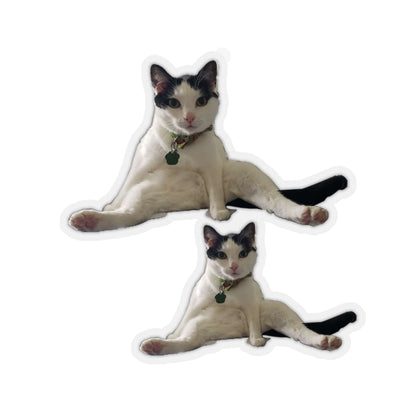 Copy of Copy of Kiss-Cut Stickers 113-8668080-6123457