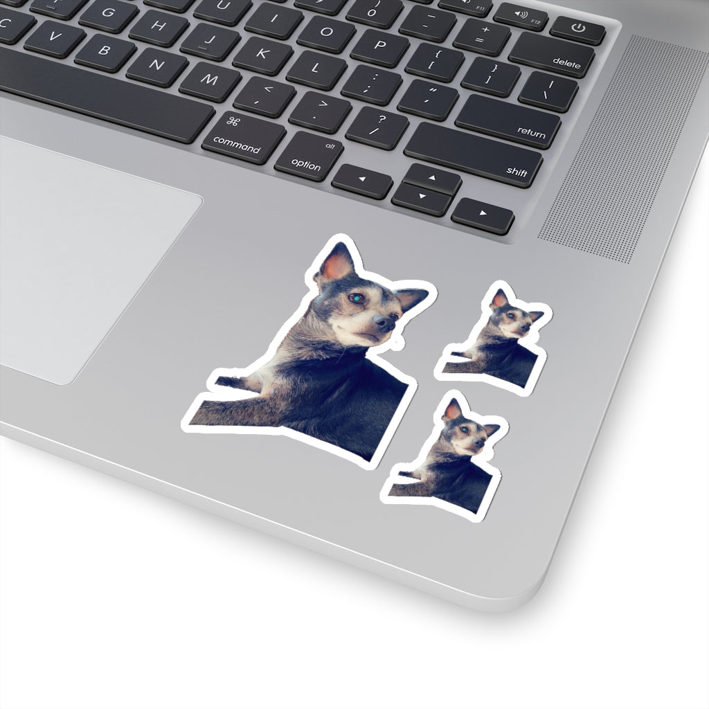 114-8778438-2105049 1sticker