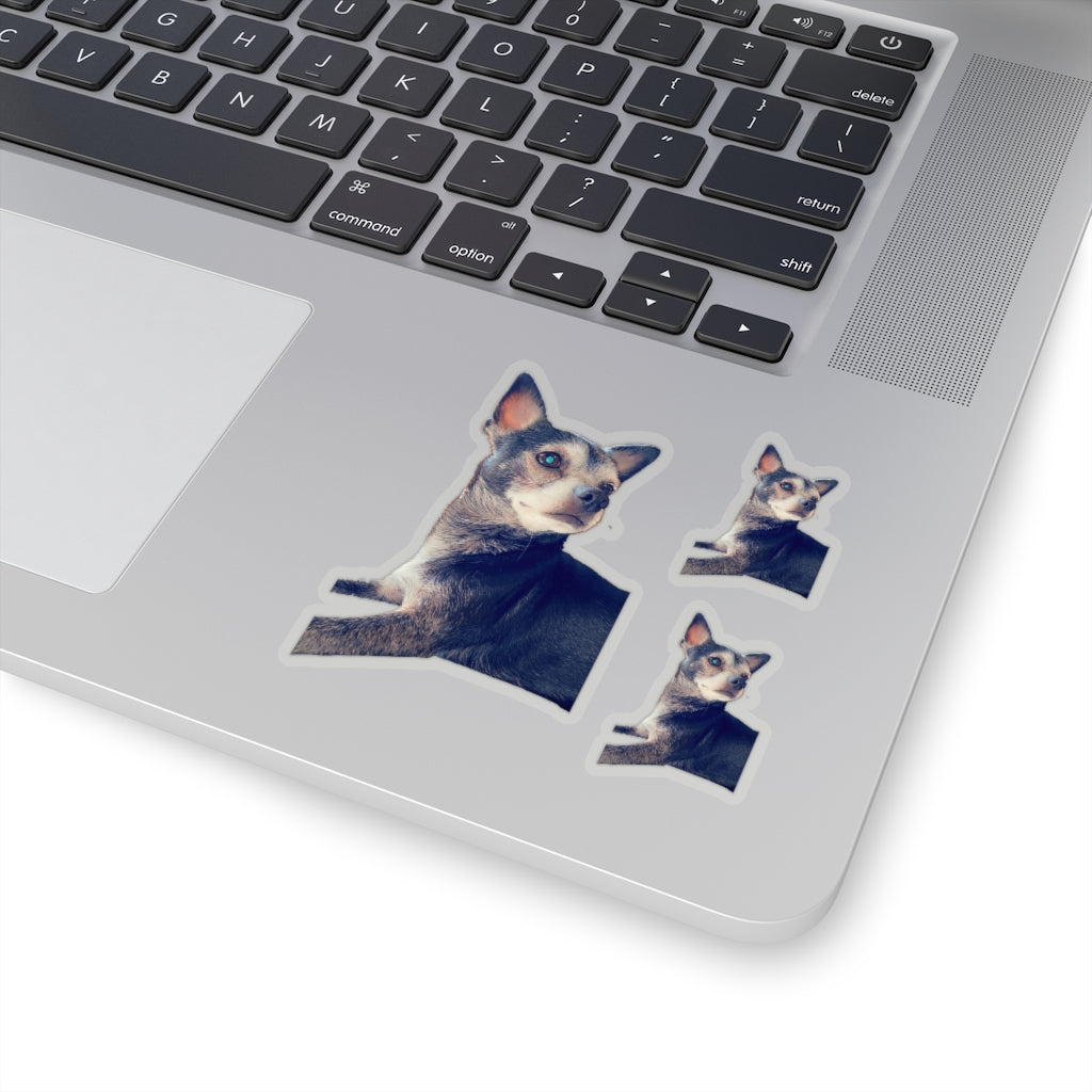 114-8778438-2105049 1sticker