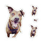 113-0731441-6686619_3x3-removebg-preview