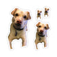 Copy of 111-6365400-0305849 ok 1509