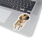114-8455243-6539430_44-removebg-preview