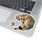 112-3578331-4259455_44_1-removebg-preview