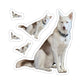 111-1883979-4390624_22-removebg-preview