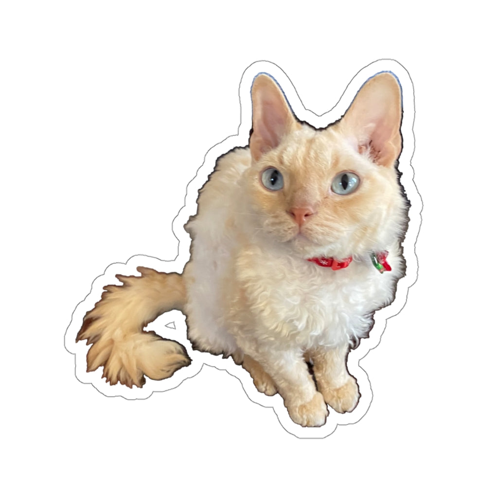 Copy of Copy of Copy of Copy of Copy of Kiss-Cut Stickers 113-8668080-6123457