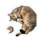 112-3578331-4259455_44_1-removebg-preview