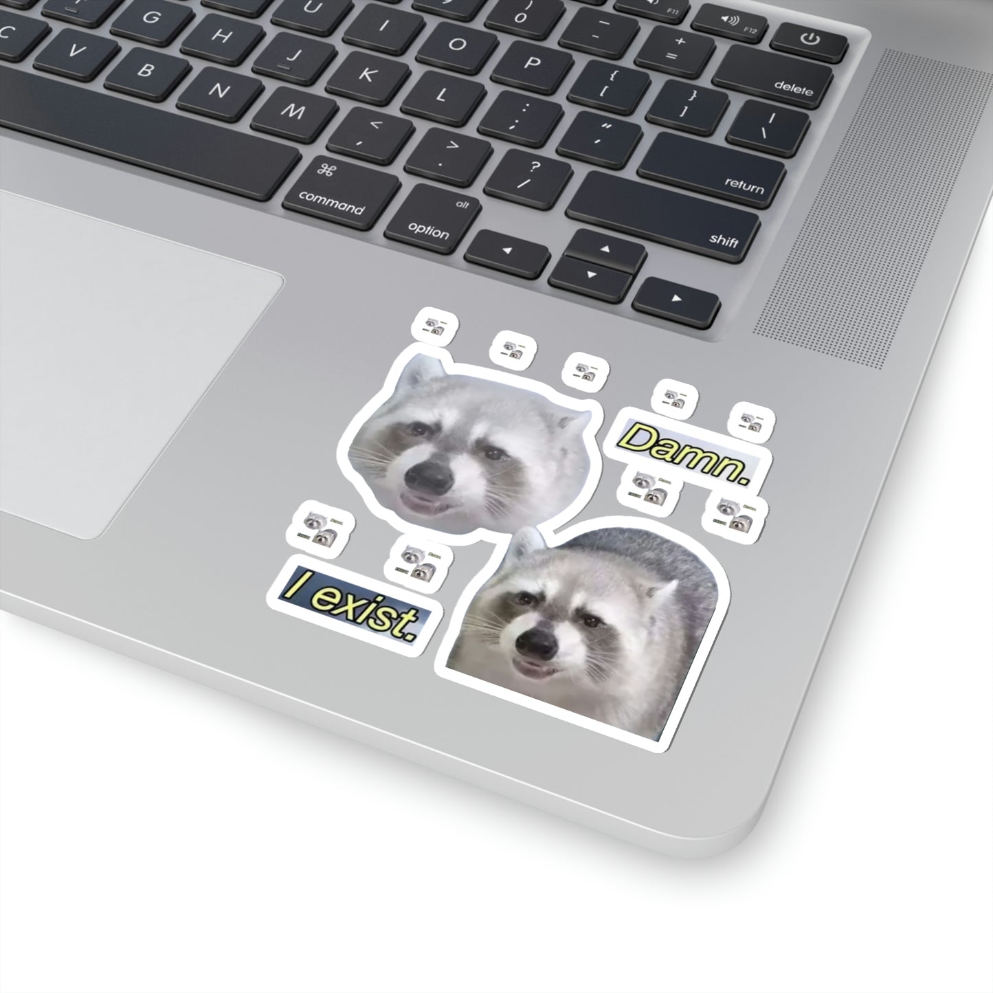 111-7098281-8566623_33_1-removebg-preview