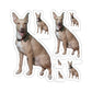 112-8811557-2937842_44_1-removebg-preview