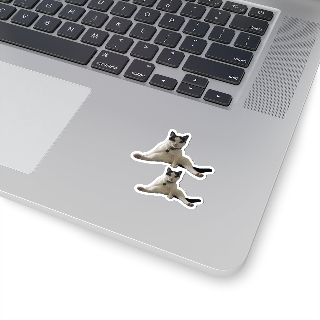 Copy of Copy of Kiss-Cut Stickers 113-8668080-6123457