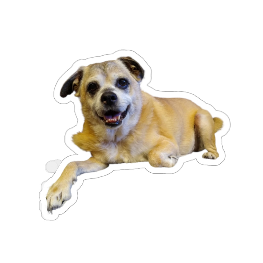 Copy of Kiss-Cut Stickers  114-4855535-9516209