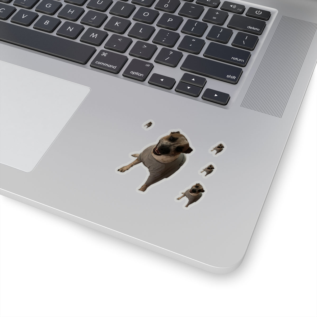 Untitled-2.png 111-3539899-7967429 2x2