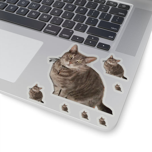 Untitled-1.png  113-6605383-8749861 1