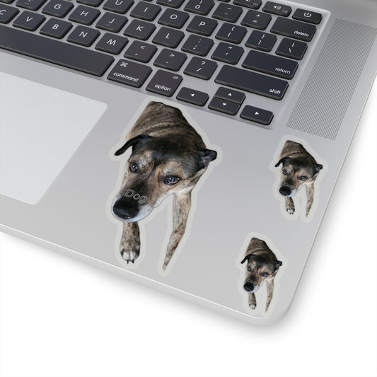 113-0705746-0449019_2x2-removebg-preview