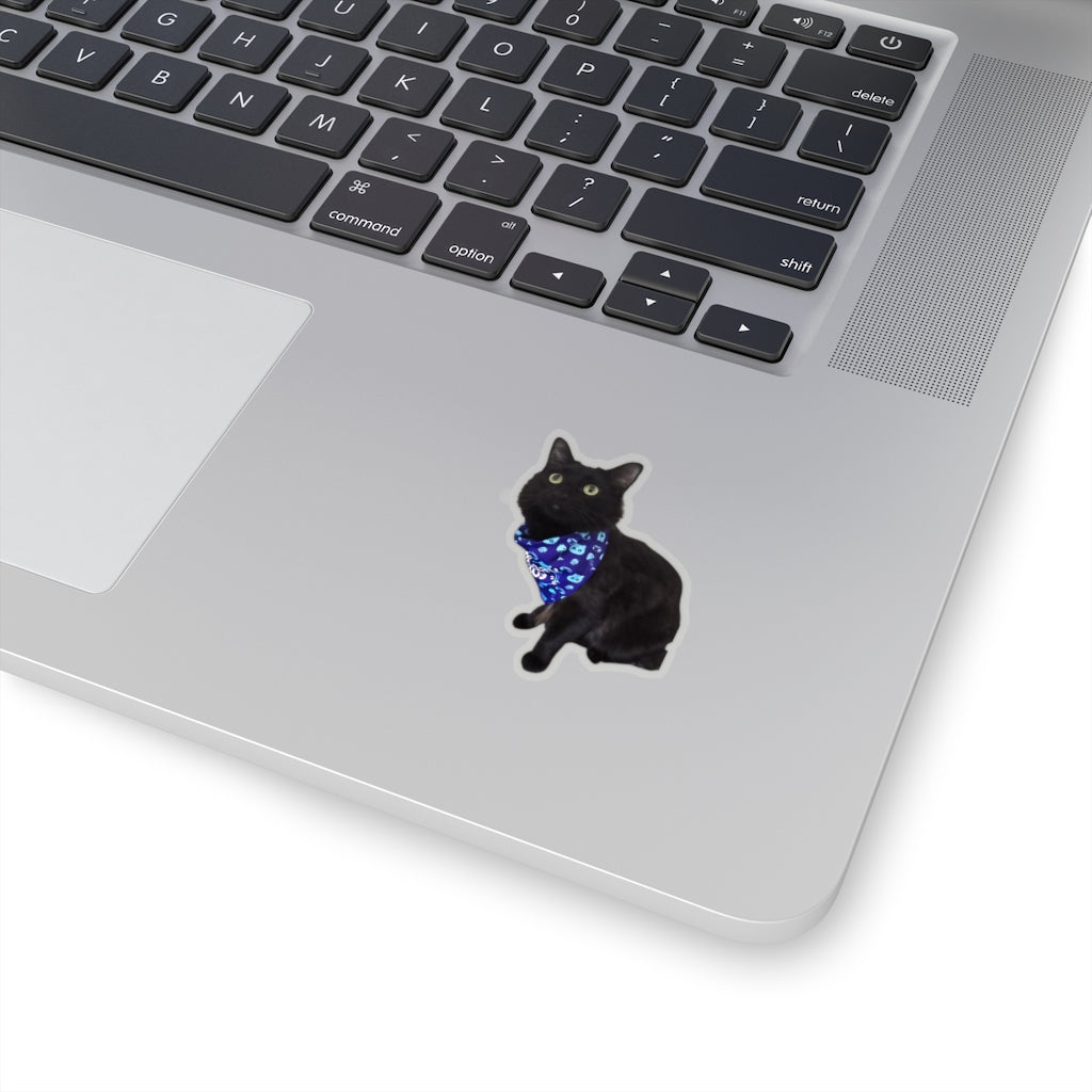 Copy of Copy of Copy of Kiss-Cut Stickers  114-4855535-9516209