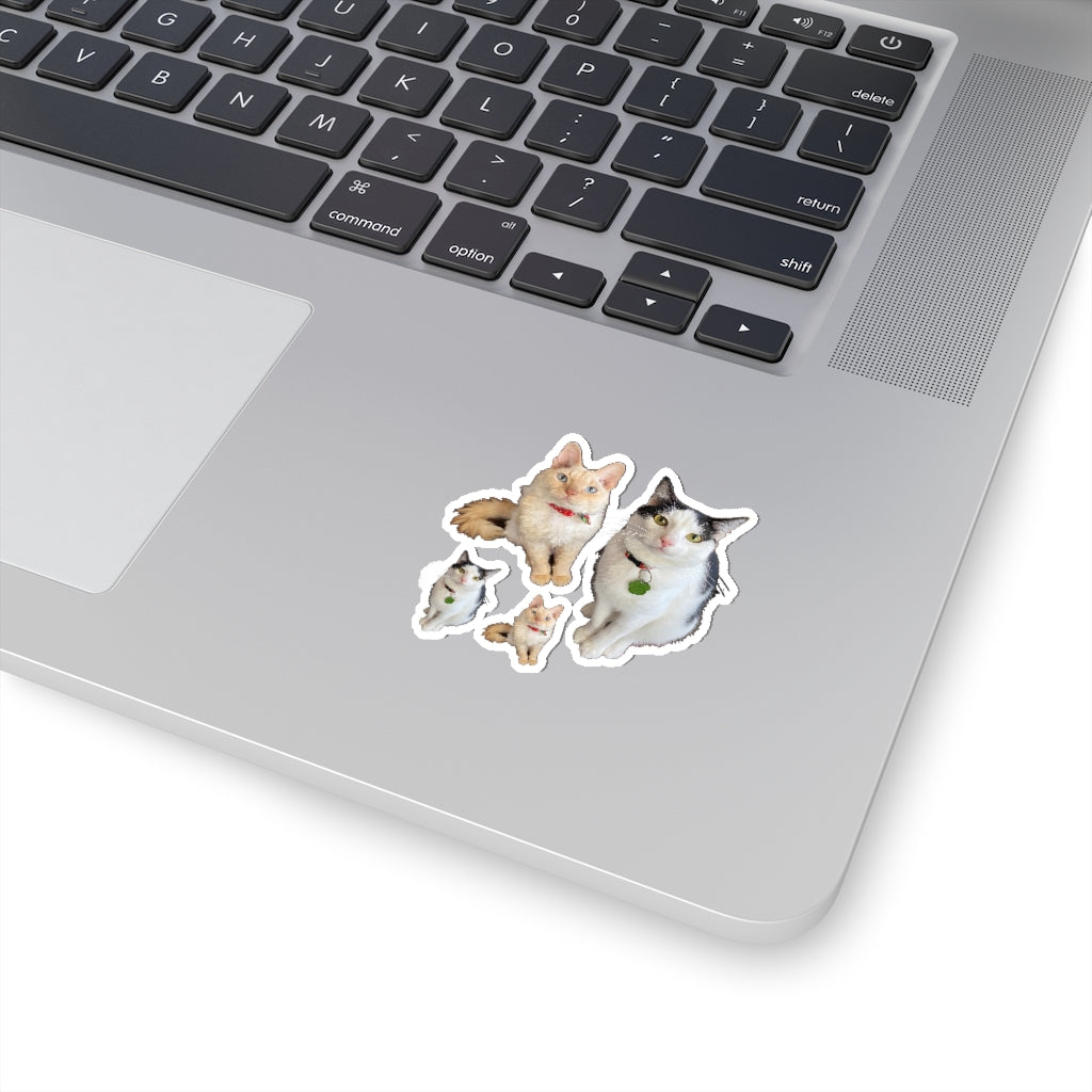 Copy of Copy of Copy of Copy of Kiss-Cut Stickers 113-8668080-6123457