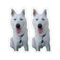 Copy of Copy of Copy of Copy of Copy of Kiss-Cut Stickers  114-4855535-9516209