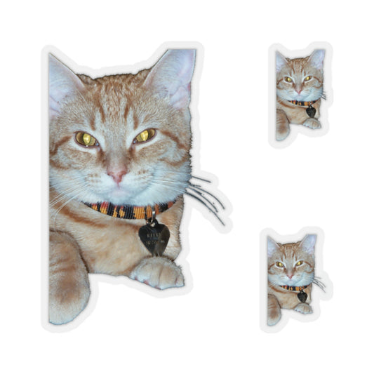 111-5280013-1490637_2x2-removebg-preview