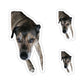113-0705746-0449019_2x2-removebg-preview