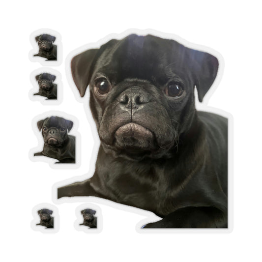 111-3278066-4671412_22_1-removebg-preview