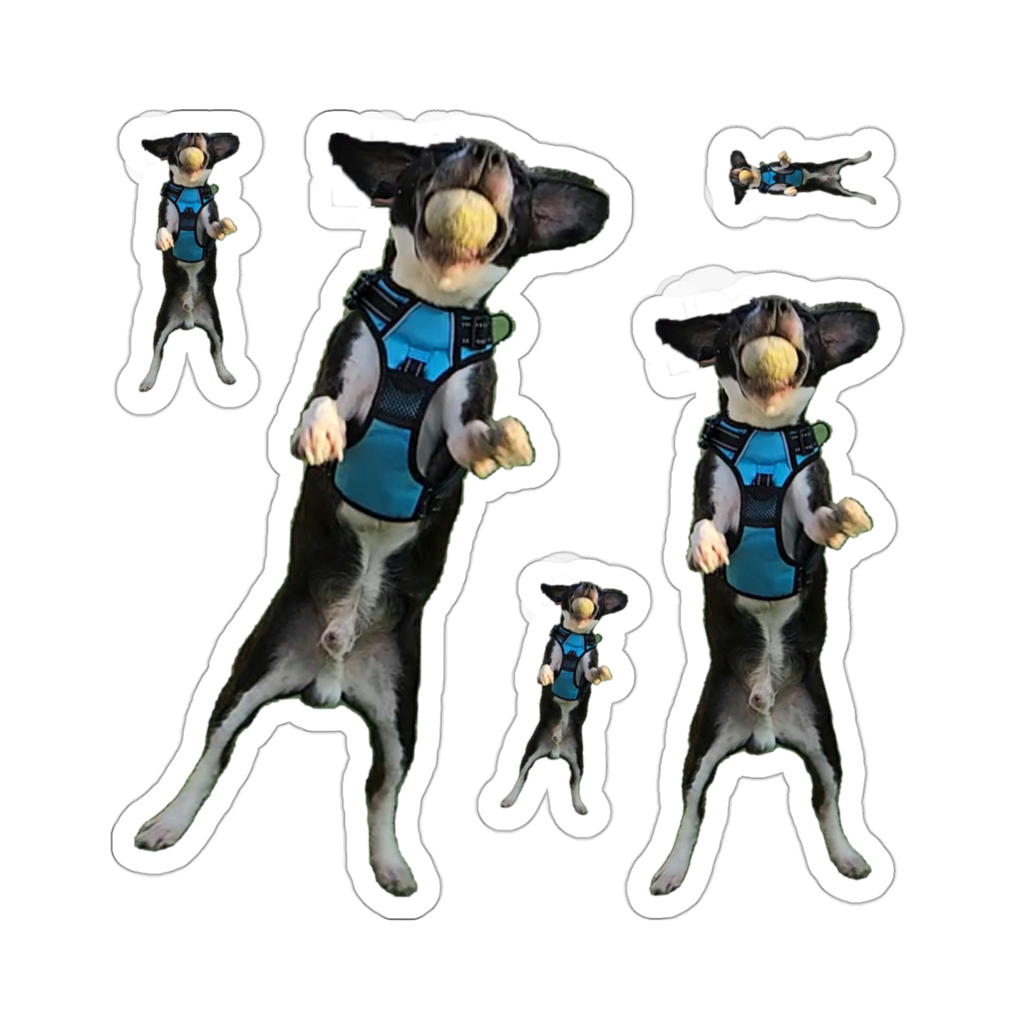 111-6633331-4278601_33_1-removebg-preview
