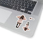 113-8033796-4131439_33-removebg-preview