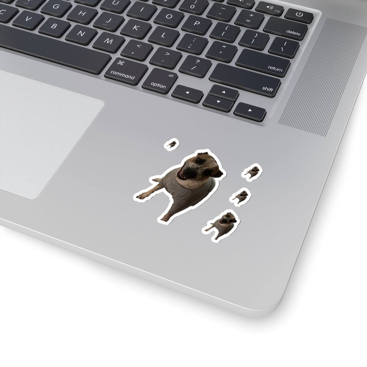 Untitled-2.png 111-3539899-7967429 2x2