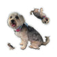 111-5371430-0914635_22_1-removebg-preview