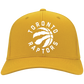 Toronto Raptors LOGO Hats 2019 Basketball Team Strong Black One Size Fits .