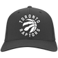 Toronto Raptors LOGO Hats 2019 Basketball Team Strong Black One Size Fits .