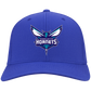 Charlotte Hornets HATS Basketball Team Strong MEN-WOMEN Black  One Size Fits .