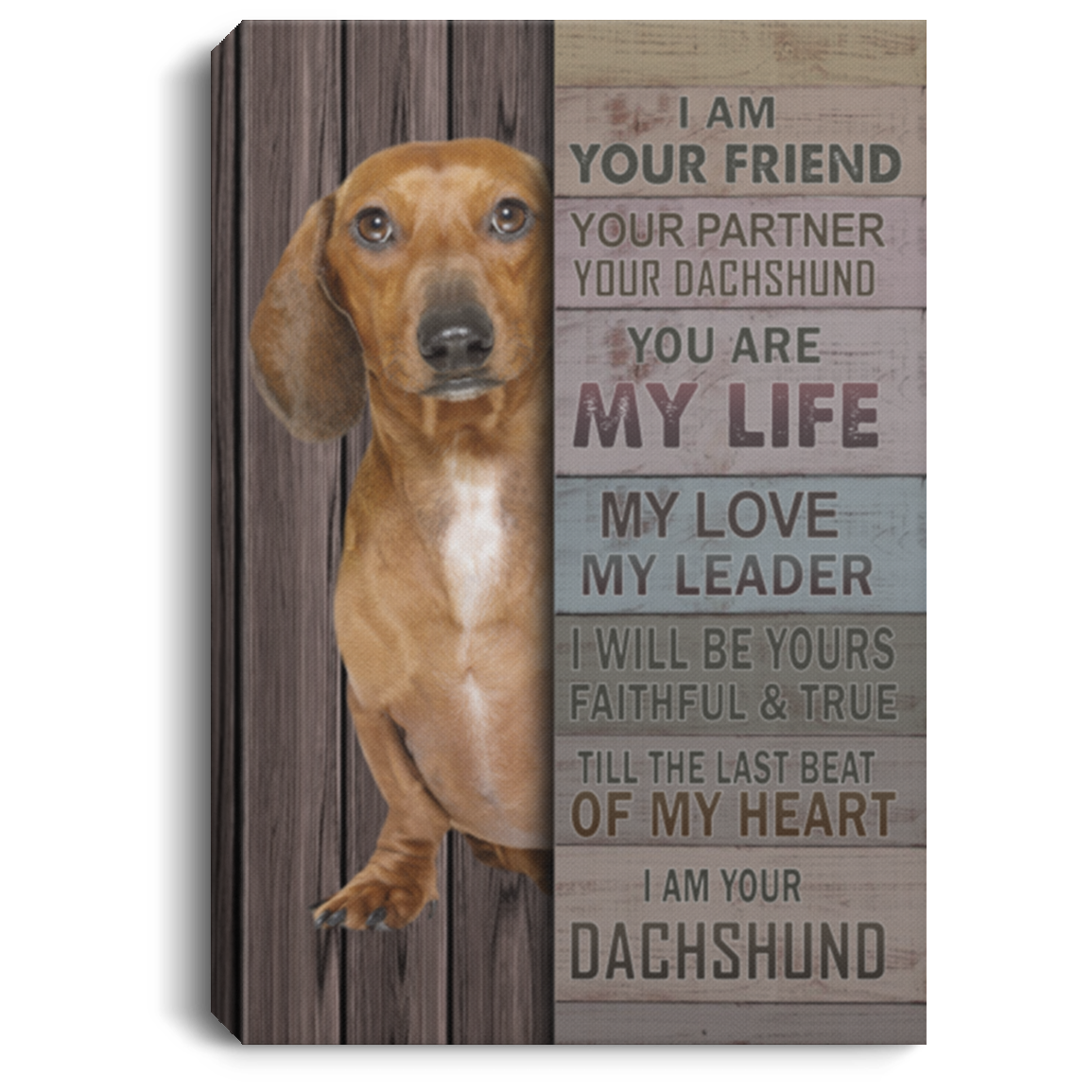 Canvas Meaningful Quote I Am Your Friend Your Partner Your Dachshund Prints – Gift Family Unisex Awesome On Birthday, Decor Home Durable 16x24 FIXXX CANPO75 Portrait Canvas .75in Frame