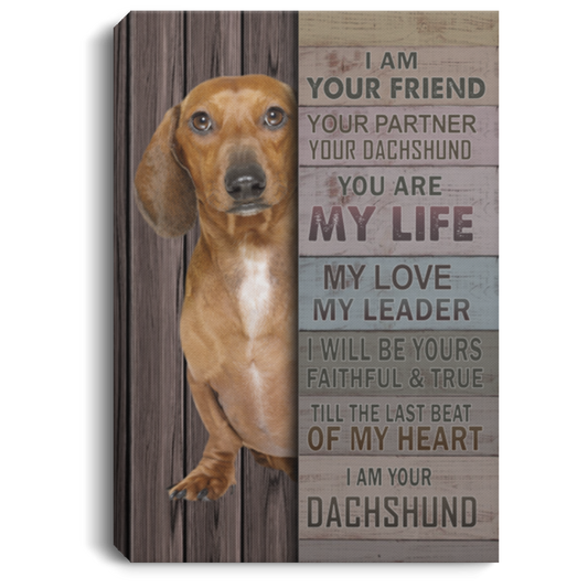 Canvas Meaningful Quote I Am Your Friend Your Partner Your Dachshund Prints – Gift Family Unisex Awesome On Birthday, Decor Home Durable 16x24 FIXXX CANPO75 Portrait Canvas .75in Frame