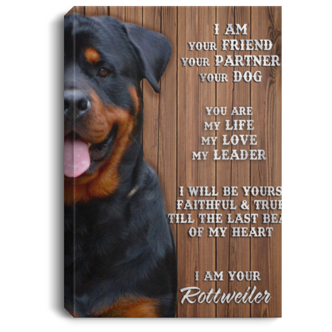 Meaningful Quote I Am Your Friend Your Partner Your Dog I Am Your Rottweiler Gallery Wrapped Framed Canvas Prints – Best Birthday Gift for You On Christmas, Anniversary 8x12 CANPO75 Portrait Canvas .75in Frame