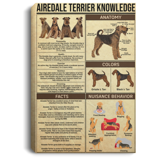 Framed Art Gifts Airedale Terrier Knowledge Print on Canvas Wall Art Poster Framed Anniversary Birthday Christmas Housewarming Gift Home of wall decoration Custom size Gifts Christmas, on Birthday For CANPO75 Portrait Canvas .75in Frame