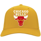 Chicago Bulls HATS Basketball Team Legend No.1 MEN'S Black One Size Fits .