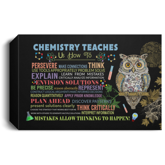 Chemistry Teaches Poster Us How to Persevere Make Connections Think Use Gift Family Unisex Awesome On Birthday, Decor Home Durable Print CANLA15 Deluxe Landscape Canvas 1.5in Frame