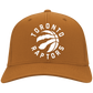Toronto Raptors LOGO Hats 2019 Basketball Team Strong Black One Size Fits .