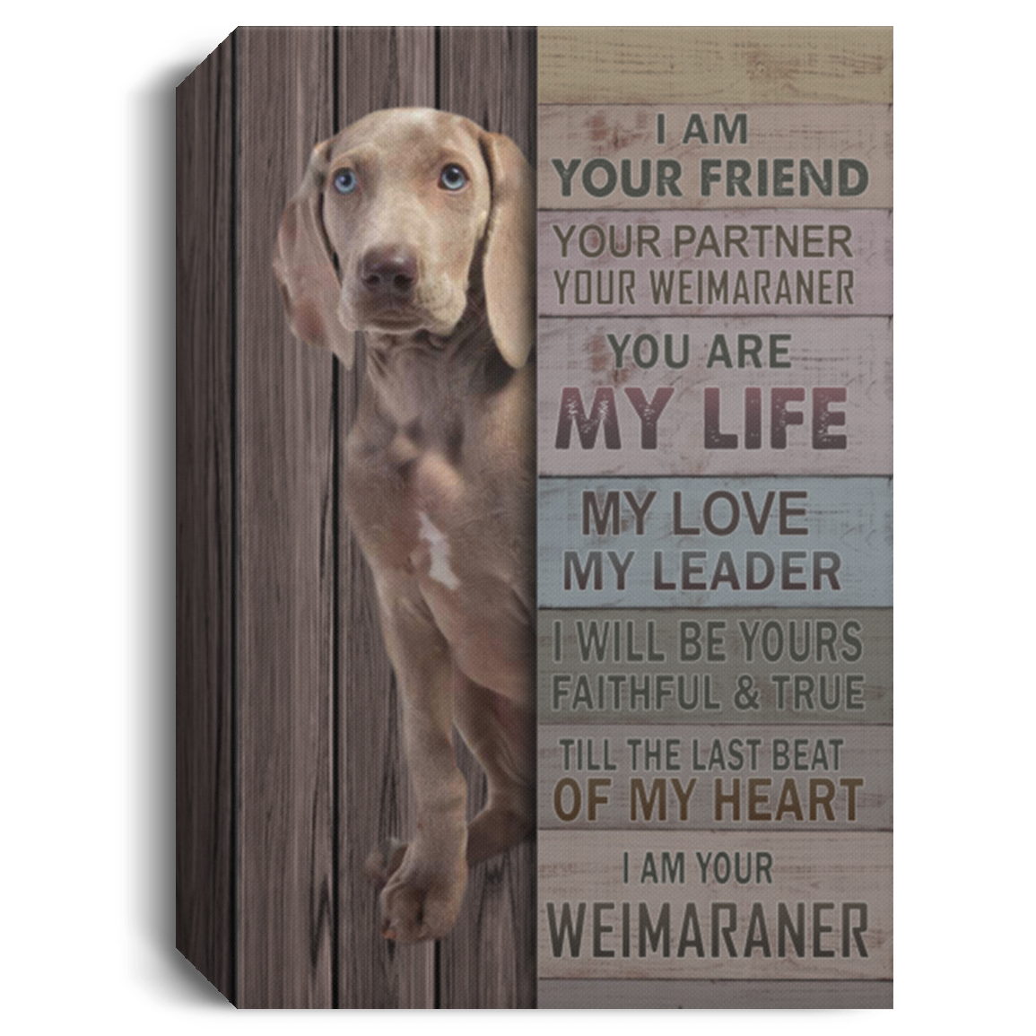I Am Your Friend Your Partner Your Weimaraner Gallery Wrapped Framed Canvas Prints – Gift Family Unisex Awesome On Birthday, Decor Home Durable 8x12 CANPO15 Deluxe Portrait Canvas 1.5in Frame