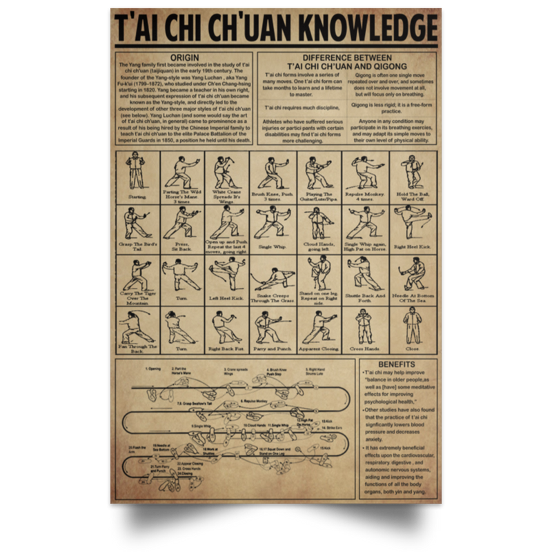 Wall Paintings TAI CHI Chuan Knowledge Family Friend Awesome Gifts Birthday Decor Home, Wall Art Durable Print 32x48 POSPO Satin Portrait Poster