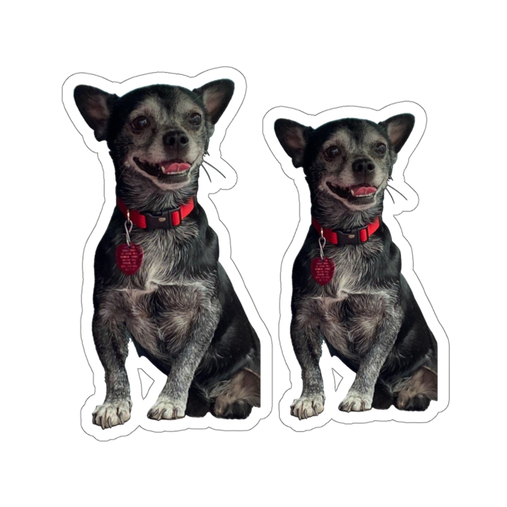 Copy of Copy of Copy of 114-8778438-2105049 1sticker