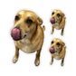 114-6058076-5469000_22-removebg-preview