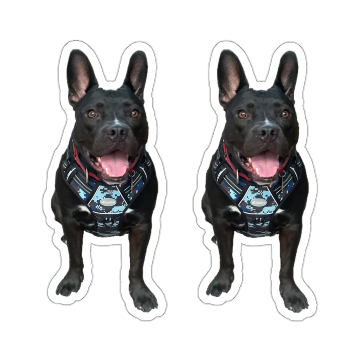 112-7259824-9805857 sticker 18102022