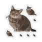 Untitled-1.png  113-6605383-8749861 1