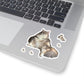 113-8942228-5586619_3x3-removebg-preview