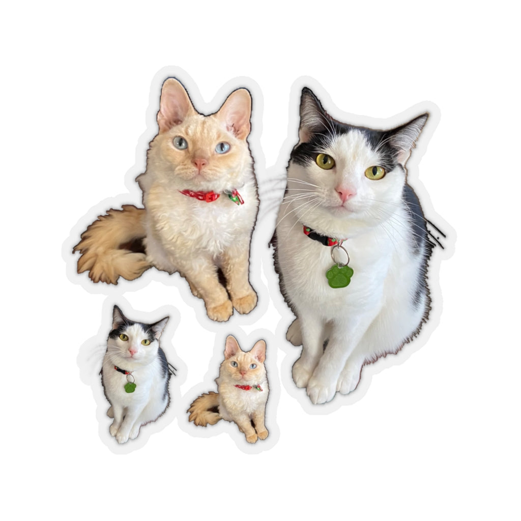Copy of Copy of Copy of Copy of Kiss-Cut Stickers 113-8668080-6123457